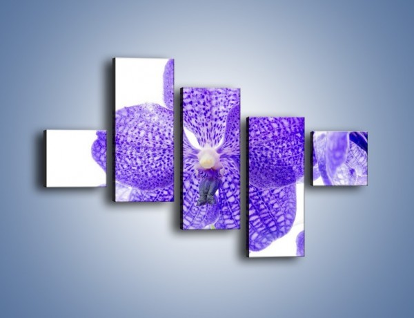 Obraz na płótnie – Jasny fiolet rządzi w kwiatach – pięcioczęściowy K259W3