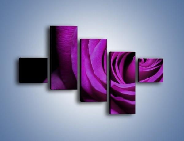 Obraz na płótnie – Tajemniczy różany fiolet – pięcioczęściowy K313W3