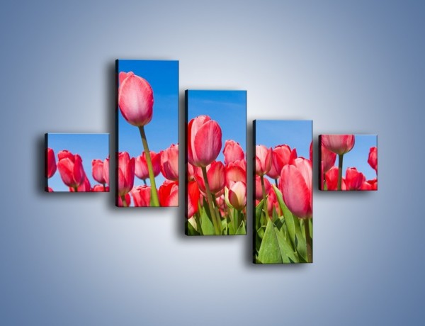 Obraz na płótnie – Tulipany czerwone jak nigdy – pięcioczęściowy K345W3