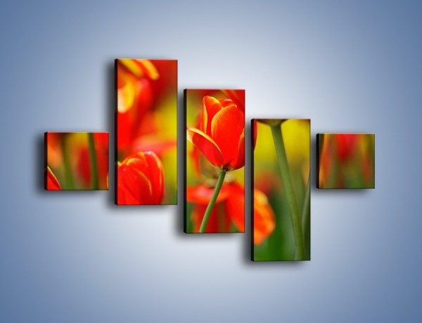 Obraz na płótnie – Wyraźny charakter tulipanów – pięcioczęściowy K349W3
