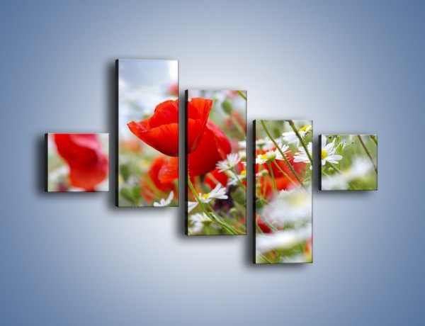 Obraz na płótnie – Polana pełna kwiatów – pięcioczęściowy K371W3