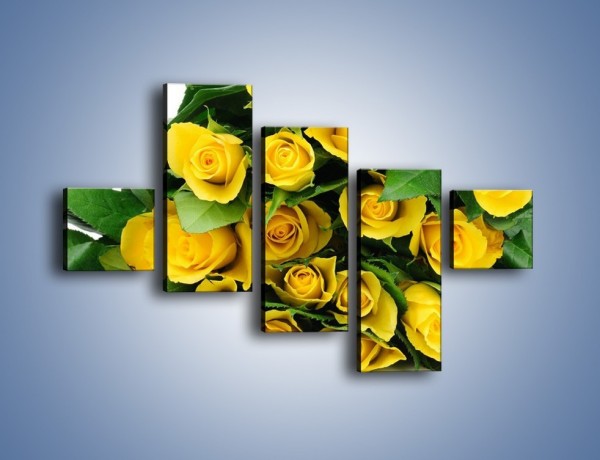 Obraz na płótnie – Wiosenny uśmiech w różach – pięcioczęściowy K379W3