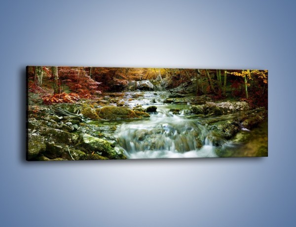 Obraz na płótnie – Wilgoć w lesie – jednoczęściowy panoramiczny KN1118A