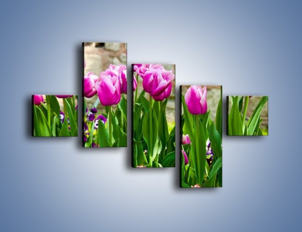 Obraz na płótnie – Tulipany w domowym ogródku – pięcioczęściowy K409W3