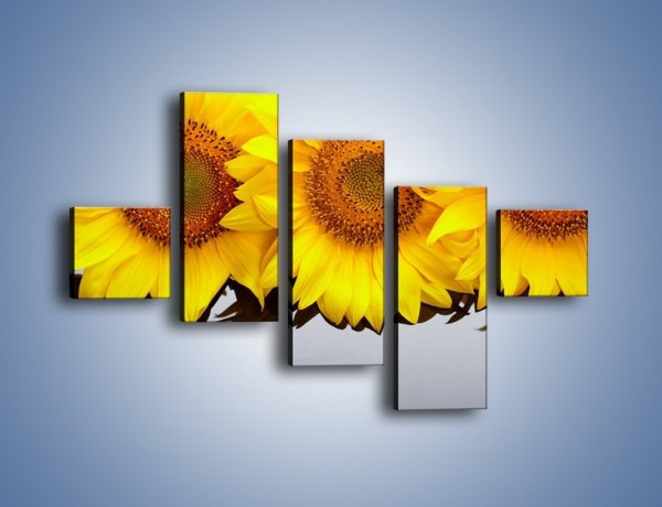 Obraz na płótnie – Najpiękniejsza odsłona słoneczników – pięcioczęściowy K416W3
