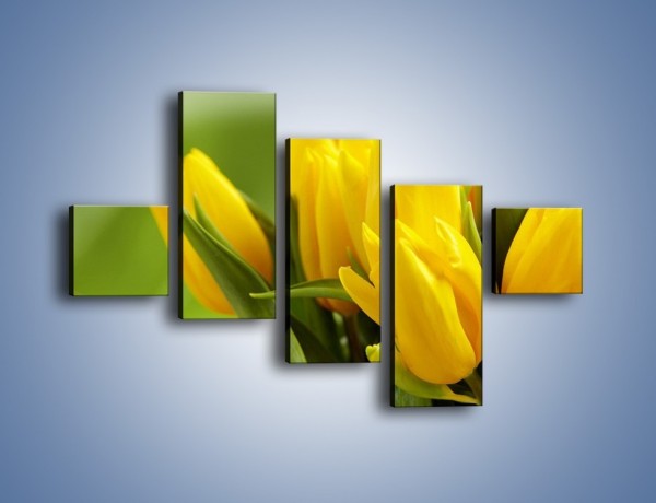 Obraz na płótnie – Słońce schowane w tulipanach – pięcioczęściowy K424W3