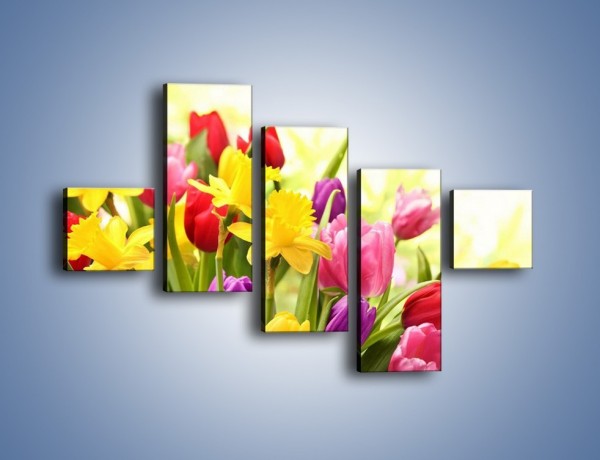 Obraz na płótnie – Żonkile wśród tulipanów – pięcioczęściowy K430W3