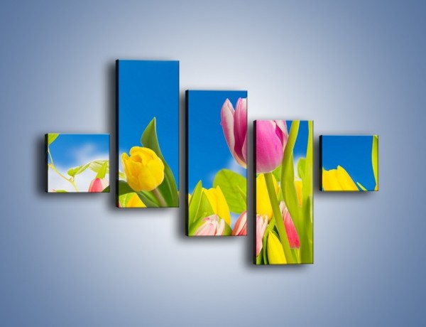 Obraz na płótnie – Kolorowe tulipany w bajkowej oprawie – pięcioczęściowy K431W3