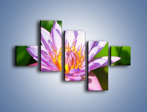 Obraz na płótnie – Wesoły kwiat w słońcu – pięcioczęściowy K455W3