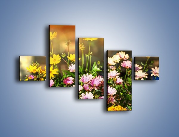 Obraz na płótnie – Polne kwiaty z uśmiechem – pięcioczęściowy K456W3