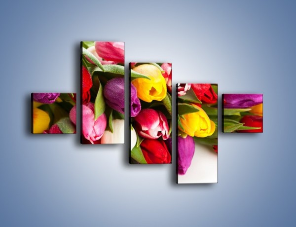 Obraz na płótnie – Spokój i luz zachowany w tulipanach – pięcioczęściowy K538W3