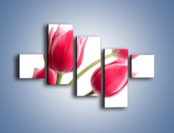 Obraz na płótnie – Pięć razy tulipany – pięcioczęściowy K551W3