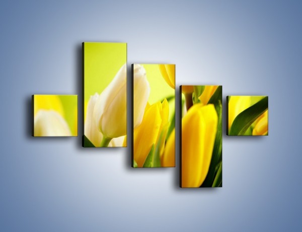 Obraz na płótnie – Żółta historia o kwiatach – pięcioczęściowy K553W3