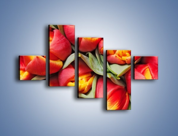 Obraz na płótnie – Tulipany papuzie – pięcioczęściowy K573W3