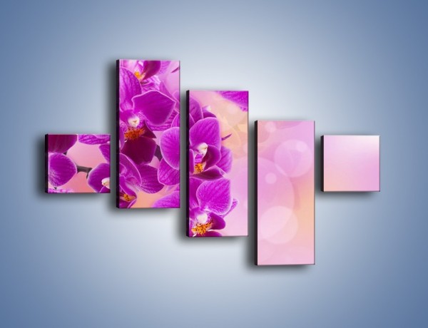 Obraz na płótnie – Spadające fioletowe kwiaty – pięcioczęściowy K614W3