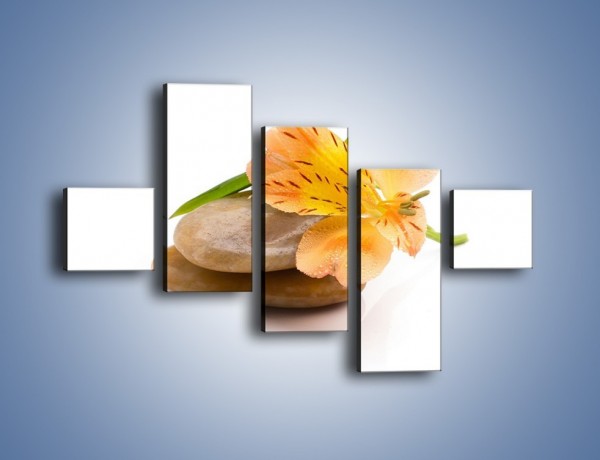 Obraz na płótnie – Kwiat jak mango – pięcioczęściowy K631W3