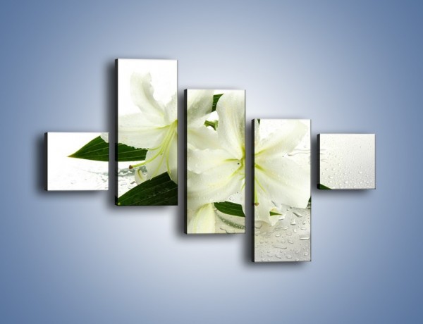 Obraz na płótnie – Niewinność białej lilii – pięcioczęściowy K632W3