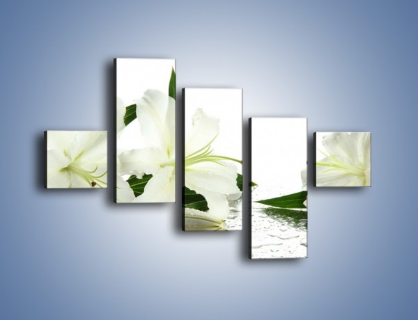 Obraz na płótnie – Czysta biel kwiatów – pięcioczęściowy K633W3