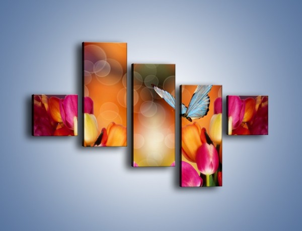 Obraz na płótnie – Motyl wśród tulipanów – pięcioczęściowy K635W3