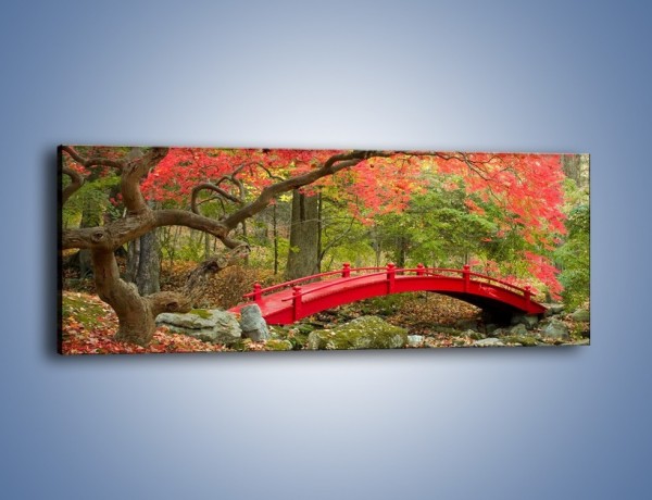 Obraz na płótnie – Czerwony most czy czerwone drzewo – jednoczęściowy panoramiczny KN1122A