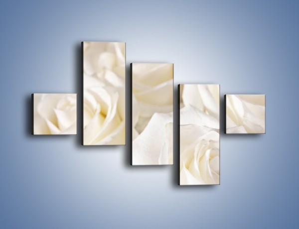 Obraz na płótnie – Dywan z białych róż – pięcioczęściowy K711W3