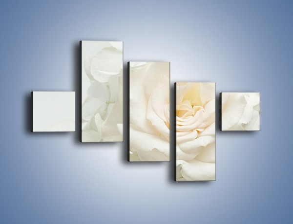 Obraz na płótnie – Czysta biel kwiatów – pięcioczęściowy K712W3