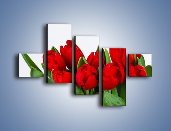 Obraz na płótnie – Tulipany na dzień kobiet – pięcioczęściowy K740W3