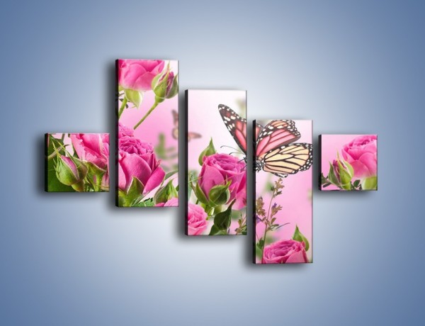 Obraz na płótnie – Motyle różowe jak kwiaty – pięcioczęściowy K741W3