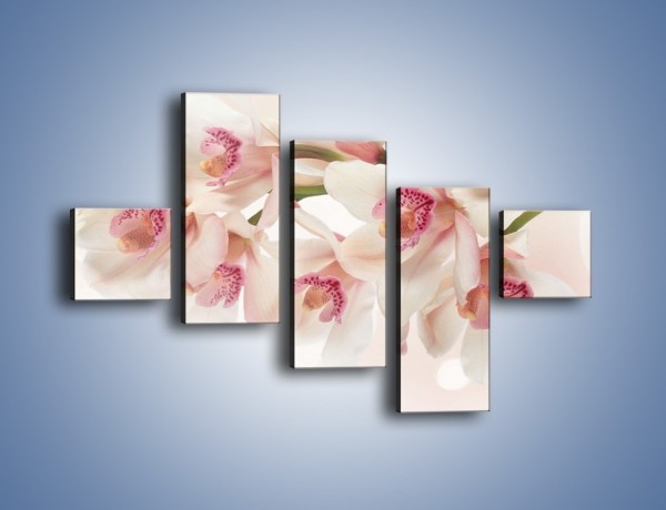Obraz na płótnie – Szlachetne różowe storczyki – pięcioczęściowy K756W3