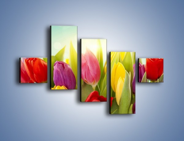 Obraz na płótnie – Tulipany w pierwszym rzędzie – pięcioczęściowy K760W3