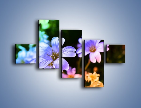 Obraz na płótnie – Niebieskie główki kwiatuszków – pięcioczęściowy K769W3
