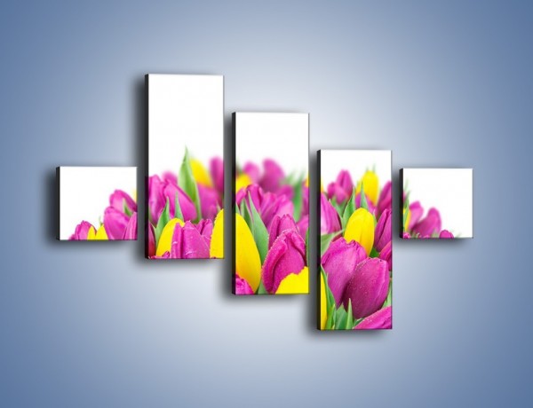 Obraz na płótnie – Bukiet fioletowo-żółtych tulipanów – pięcioczęściowy K778W3