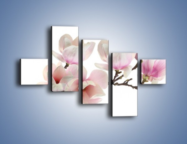 Obraz na płótnie – Zerwana gałązka magnolii – pięcioczęściowy K780W3