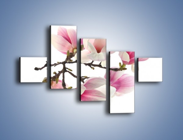 Obraz na płótnie – Wirujące kwiaty magnolii – pięcioczęściowy K781W3