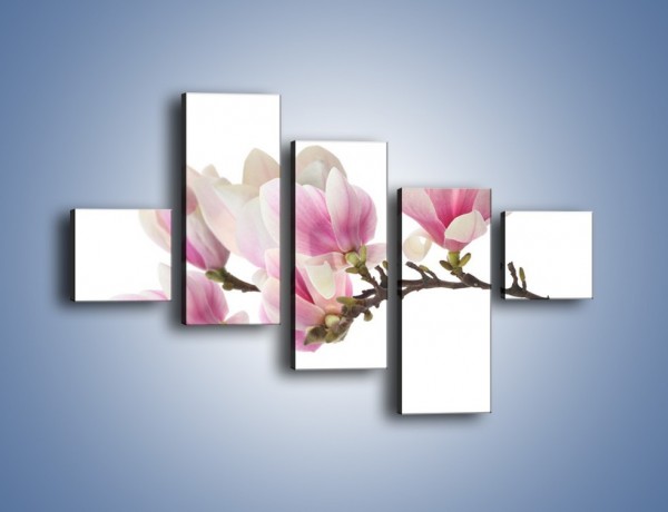 Obraz na płótnie – Rzut na gałąź magnolii – pięcioczęściowy K782W3