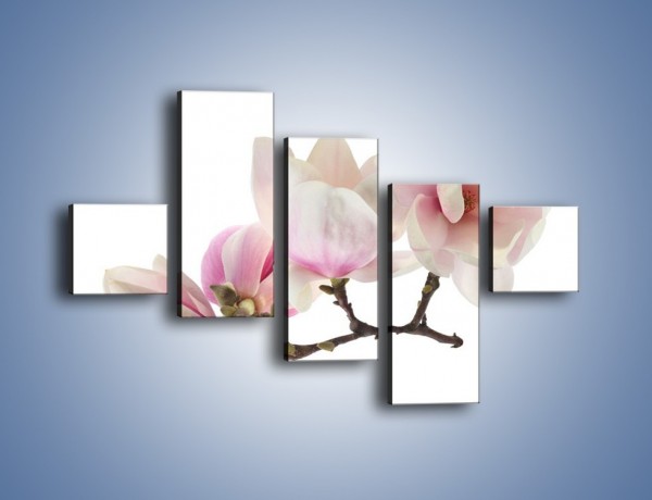 Obraz na płótnie – Obcięte gałązki białych różowych kwiatów – pięcioczęściowy K783W3