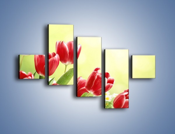 Obraz na płótnie – Polne tulipany i stokrotki – pięcioczęściowy K789W3
