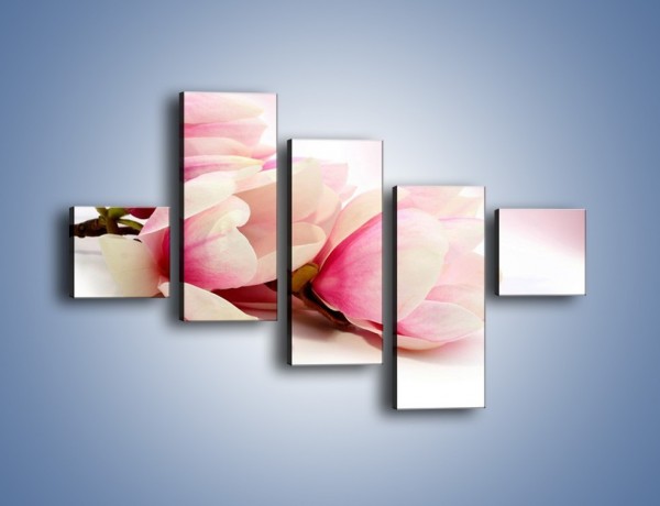 Obraz na płótnie – Gałąź magnolii na obłoku – pięcioczęściowy K817W3