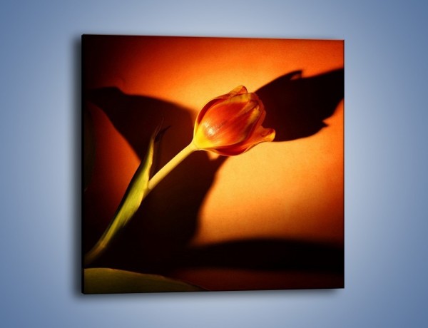Obraz na płótnie – Tulipan w cieniu – jednoczęściowy kwadratowy K064