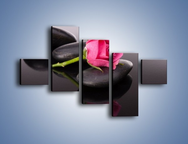 Obraz na płótnie – Ścięta róża na czarnej tafli – pięcioczęściowy K832W3