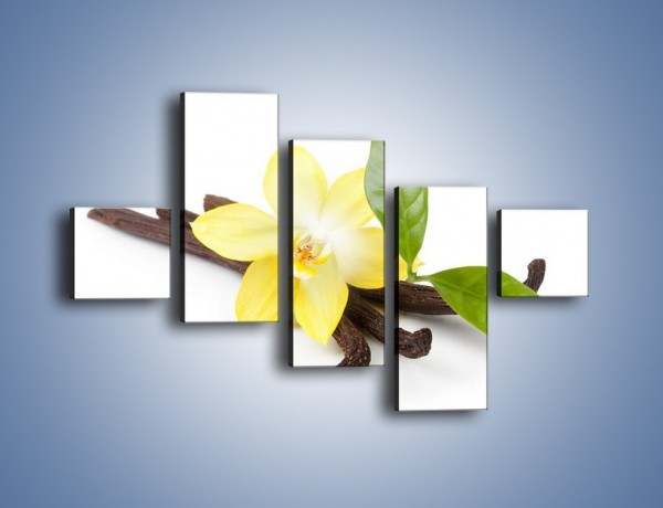 Obraz na płótnie – Samotny kwiat i dodatki – pięcioczęściowy K849W3
