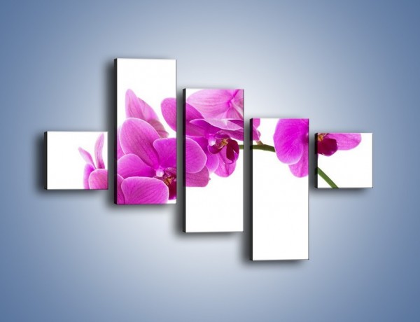 Obraz na płótnie – Kwiaty w lewą stronę – pięcioczęściowy K853W3