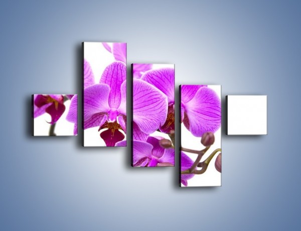 Obraz na płótnie – Samotne kwiaty bez dodatków – pięcioczęściowy K870W3