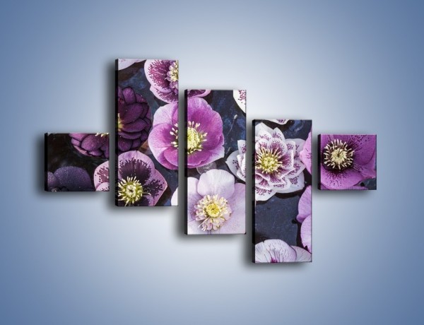 Obraz na płótnie – Wszystkie odcienie fioletu w kwiatach – pięcioczęściowy K876W3