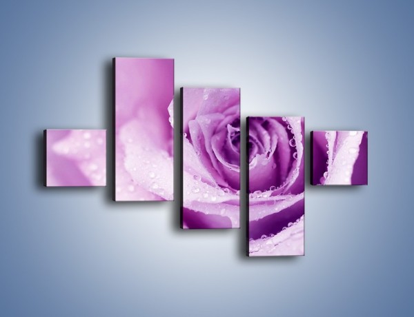Obraz na płótnie – Jasny fiolet w róży – pięcioczęściowy K894W3