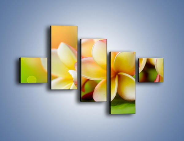 Obraz na płótnie – Kwiaty jak marcepanowe wypieki – pięcioczęściowy K898W3