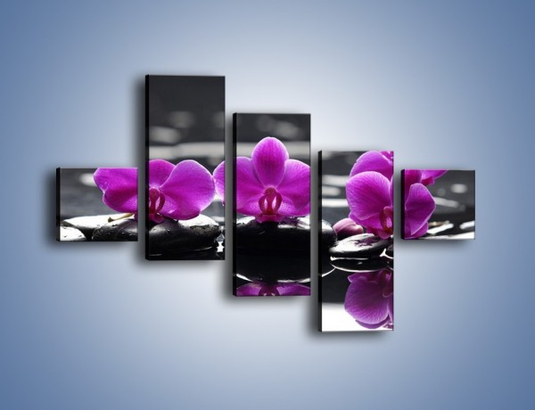 Obraz na płótnie – Wodny szereg kwiatowy – pięcioczęściowy K905W3