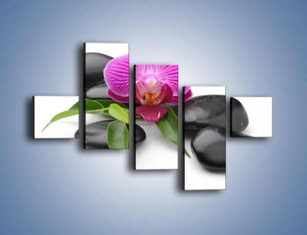 Obraz na płótnie – Kwiat i jego liście – pięcioczęściowy K941W3