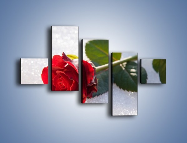 Obraz na płótnie – Gorąca róża na zmrożonej tafli – pięcioczęściowy K946W3