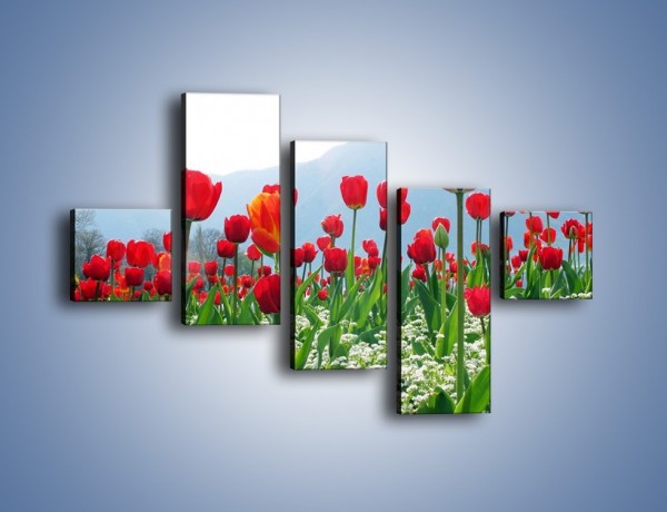 Obraz na płótnie – Konwalie wśród dojrzałych tulipanów – pięcioczęściowy K947W3